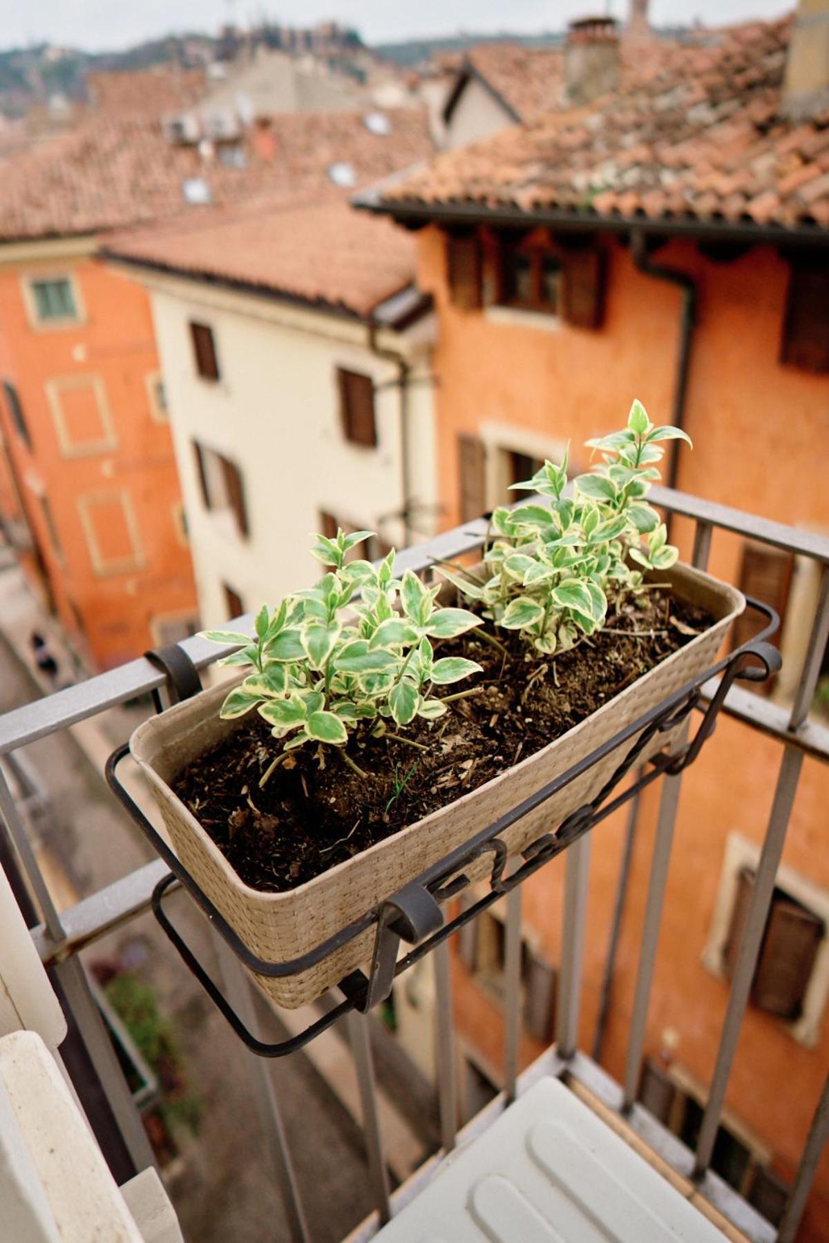 Appartamento con 1 Camera da Letto