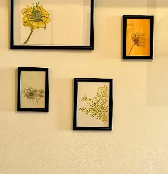 Il Petalo Giallo-1