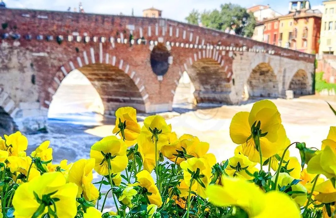 Verona All Seasons-1