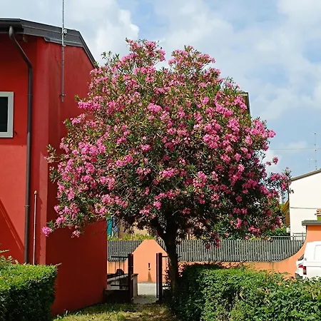 Marco Apartment Bilocale Verona Ospedale Borgo Roma e Fiera-2