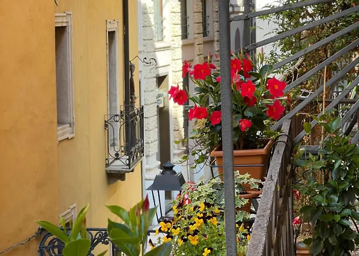 Flores Home Verona