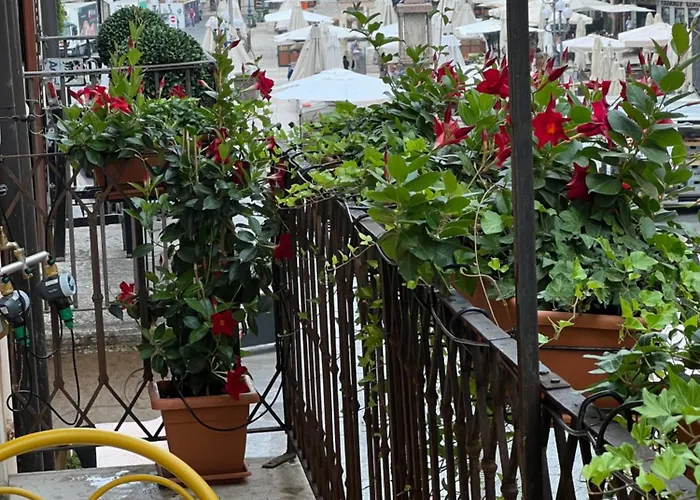 Flores Home Verona
