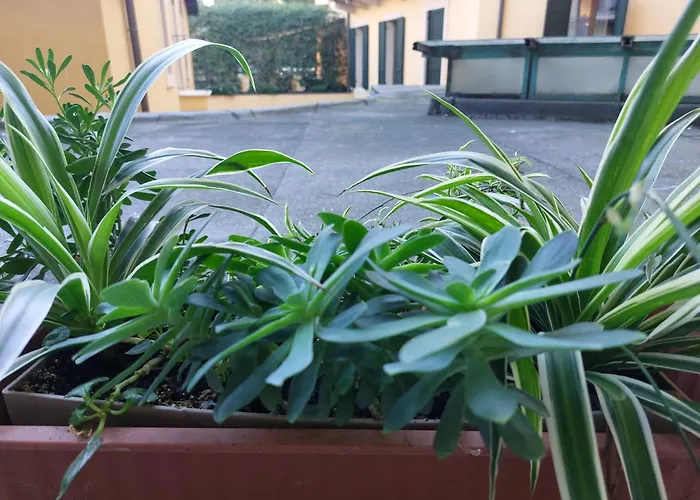 Monica'S Dream Apartment Verona