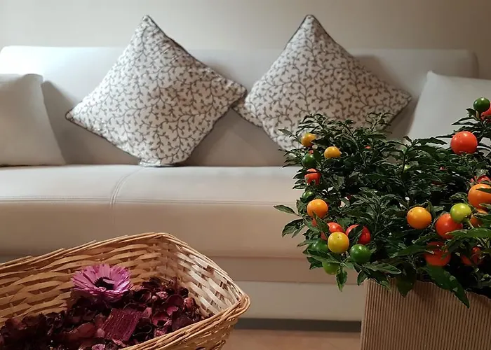 Veronetta lovely apartment